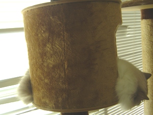 b0034820_1557252.jpg