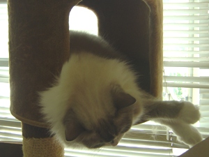 b0034820_1557351.jpg