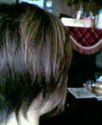 e0018024_14391716.jpg