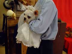 犬の写真を撮影してもらう_b0054727_348671.jpg