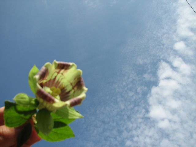 c0085630_22103478.jpg