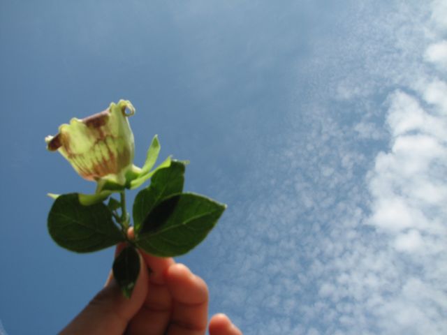 c0085630_22111087.jpg