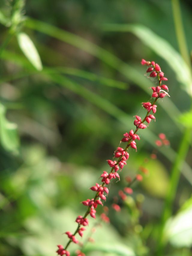 c0085630_22155389.jpg