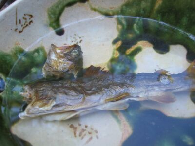岩魚とオープンカー_f0076731_14233667.jpg