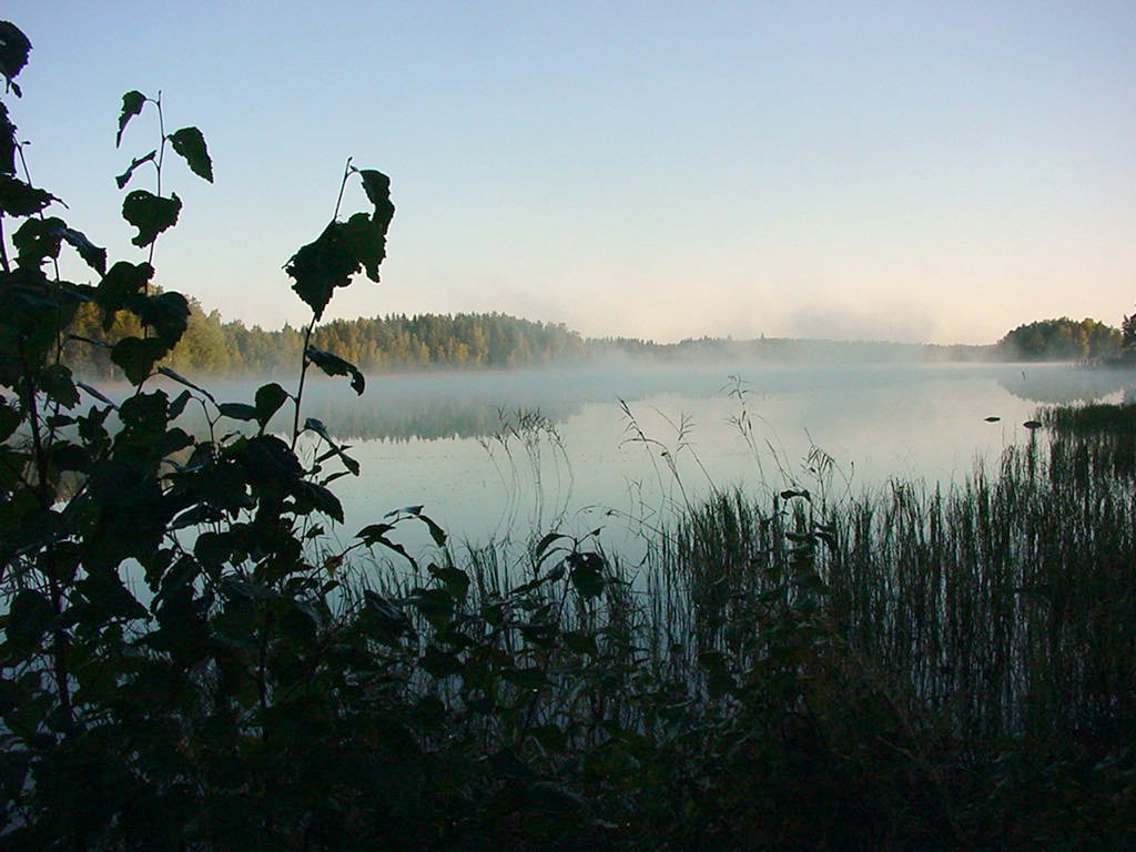 c0034850_236295.jpg