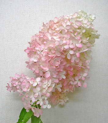 9月29日 アキイロミナヅキ_a0001354_22255370.jpg