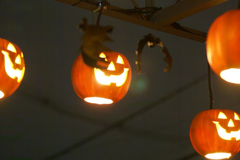 ハロウィン　－かぼちゃがいっぱいー_d0079278_17535947.jpg