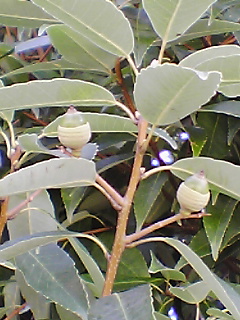 c0081883_20294237.jpg