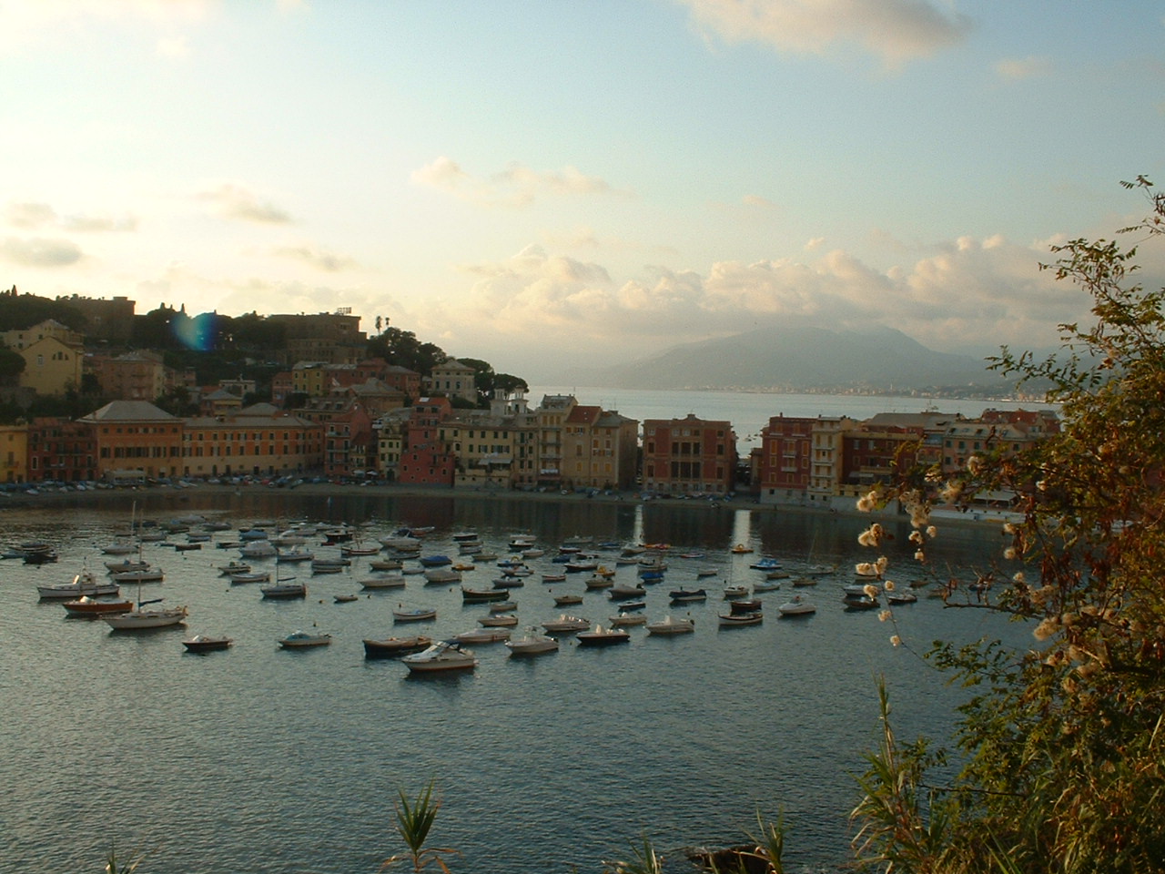 c0029400_8244999.jpg