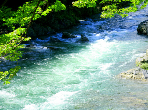 a0023315_14535692.jpg