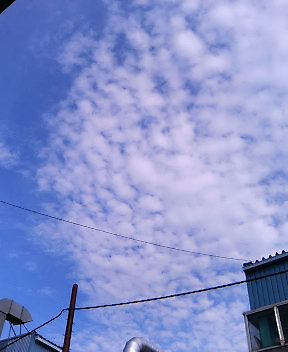 f0006521_21532581.jpg