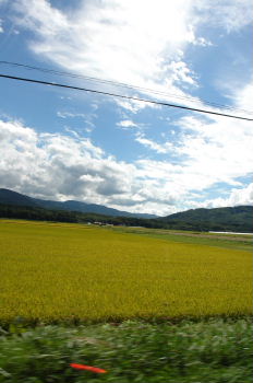 北海道旅行　ＩＮニセコ　～後編～_d0027057_048924.jpg