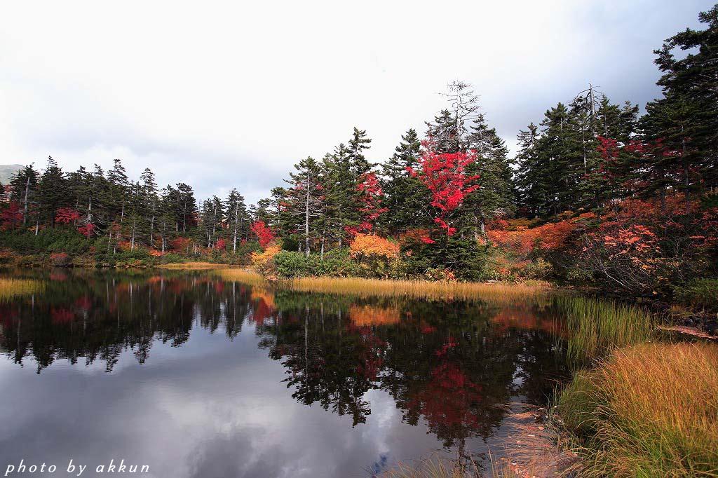 大雪山の紅葉第二弾だすよ～_a0039860_2002436.jpg