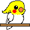 e0027078_11105742.gif