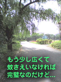 c0090084_1642778.gif