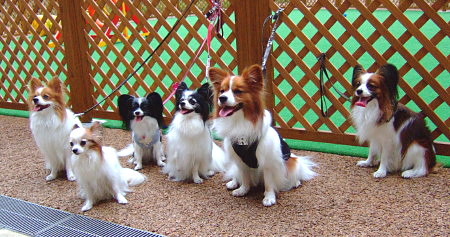 c0044199_0155.jpg