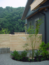 c0049902_17255159.jpg