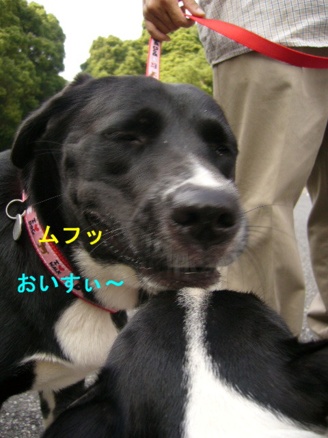 d0070702_16175810.jpg