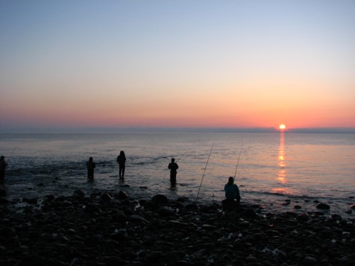 f0020302_1624246.jpg