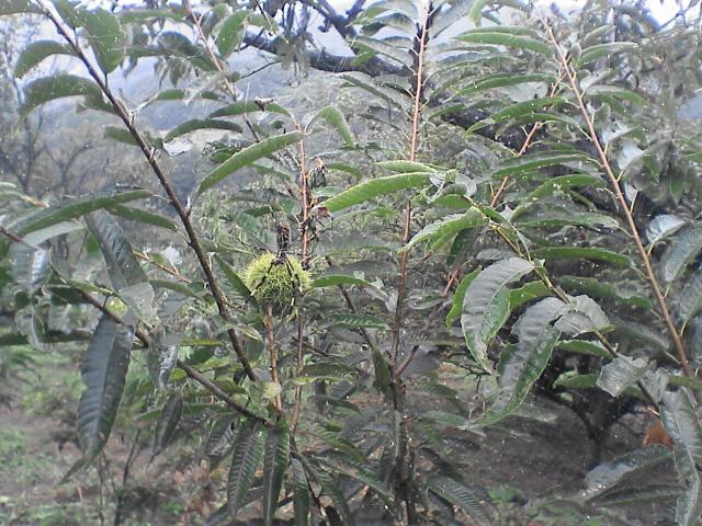 d0071507_21411695.jpg