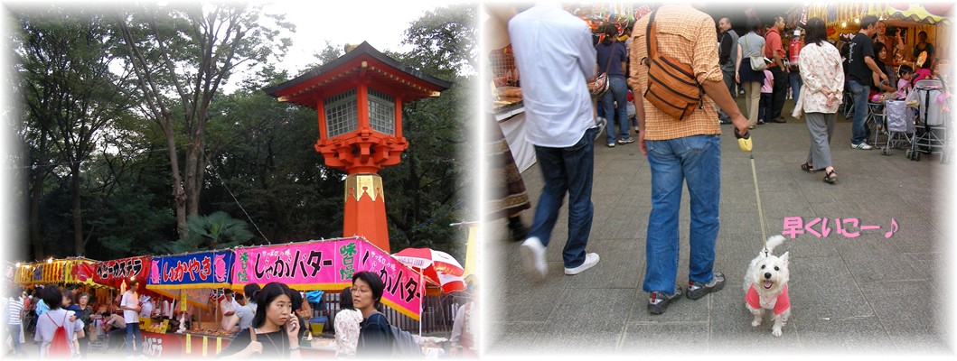 井草八幡のお祭り_f0039907_1564652.jpg