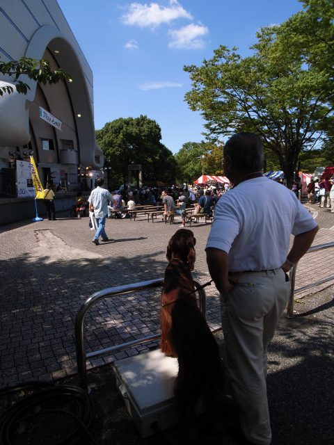 c0071611_16131142.jpg