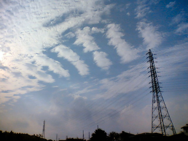 a0030713_633159.jpg
