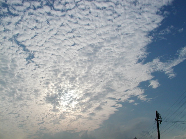a0030713_68587.jpg