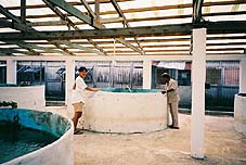 b0063313_13344965.jpg
