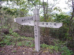 d0075131_17341570.jpg
