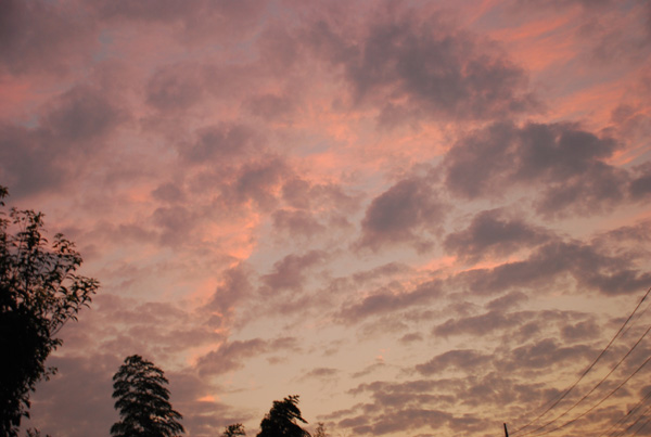 昨日の「夕空」.......何雲と呼ぶのでしょう......。_d0069838_12331351.jpg