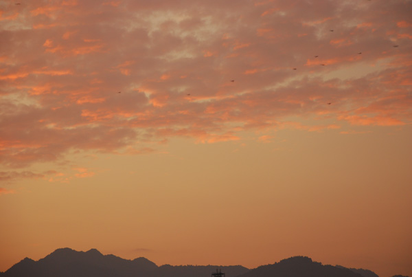 昨日の「夕空」.......何雲と呼ぶのでしょう......。_d0069838_1234157.jpg