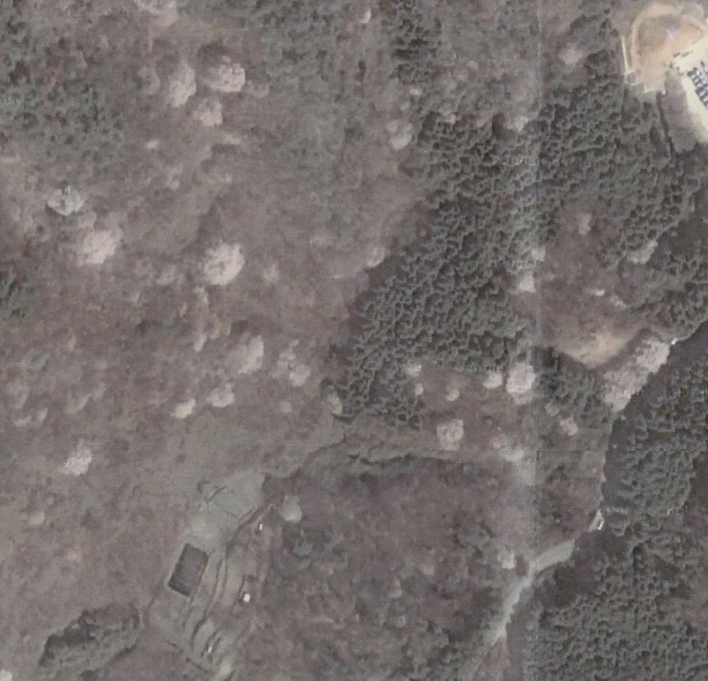 e0049740_9583129.jpg