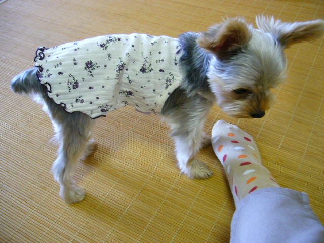 d0025643_2134137.jpg