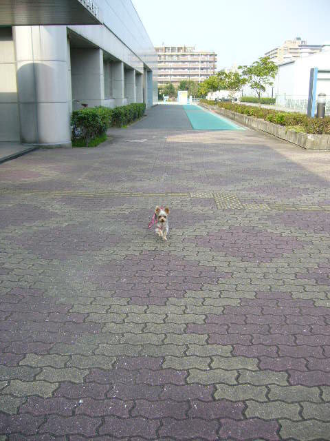 d0025643_2222237.jpg