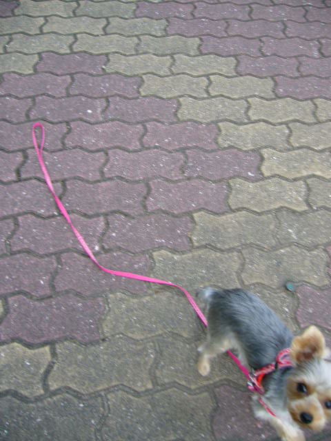 d0025643_2232813.jpg