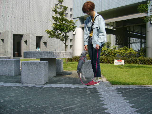 d0025643_2252734.jpg