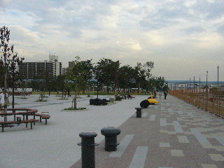 b0029256_21295290.jpg