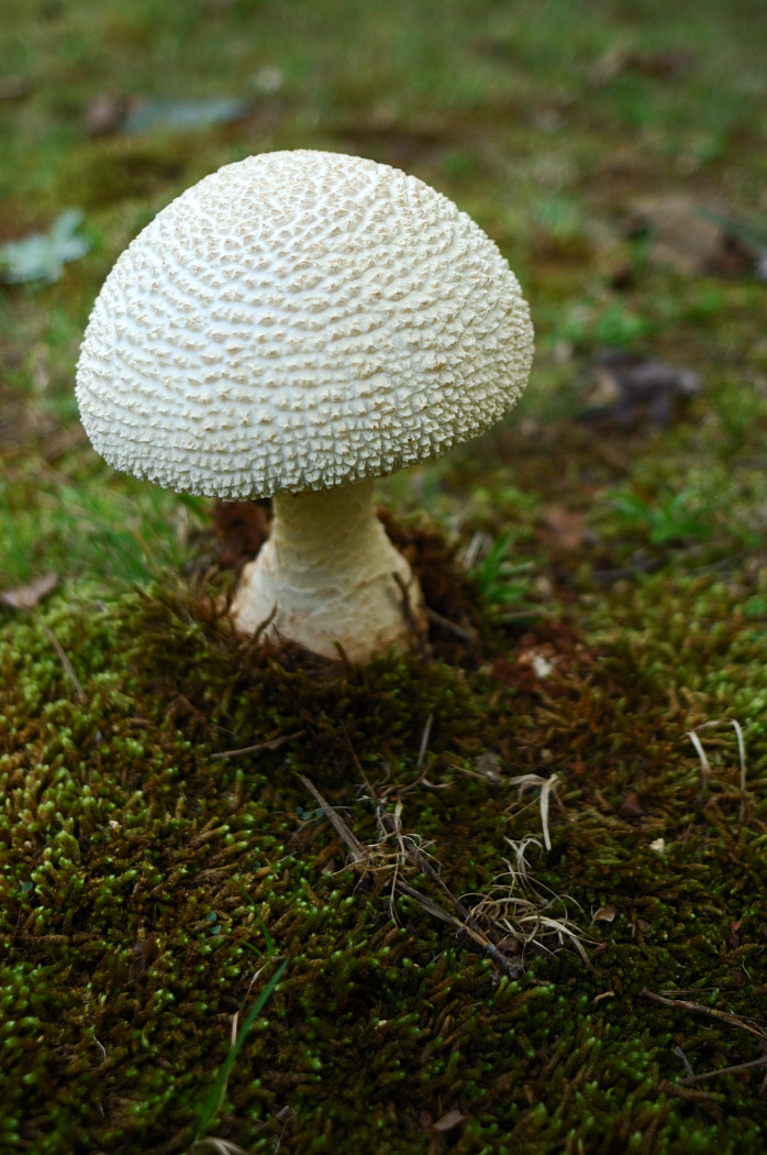c0084666_14123648.jpg