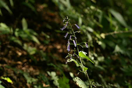 e0054067_11441465.jpg