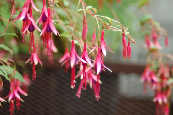 c0094572_20311345.jpg