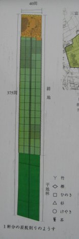 No.0085　サツマイモは、なぜ川越名物になった？_f0104277_1765147.jpg