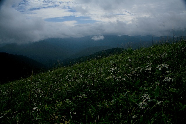 e0091879_1345135.jpg