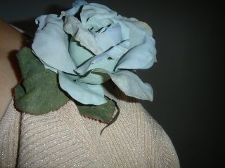 2006年10月1日 今日は海のうえの結婚式_b0098584_19343411.jpg