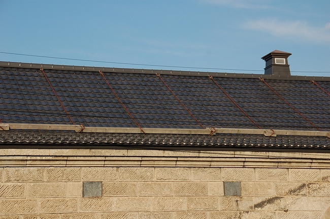 a0086387_00567.jpg