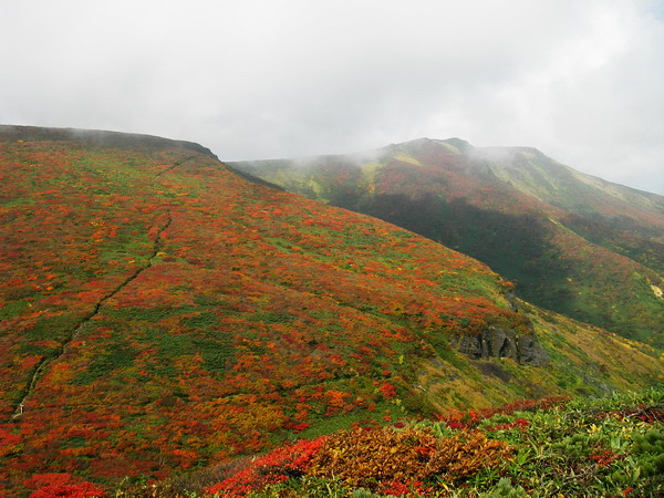 a0043193_22532915.jpg
