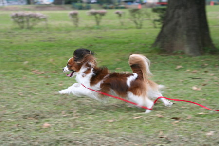 c0044199_2247372.jpg