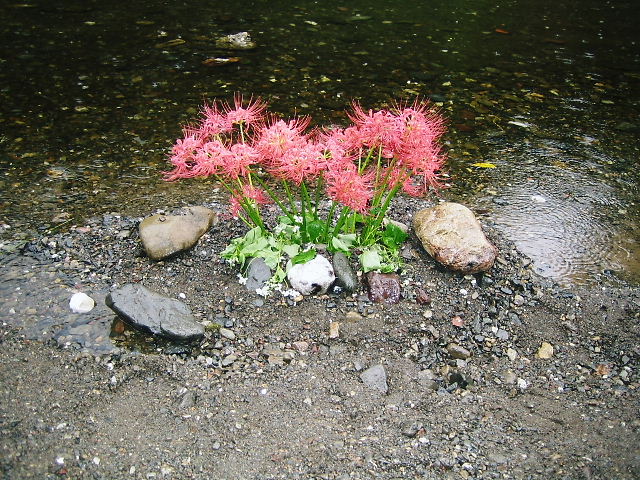 d0079302_0455811.jpg