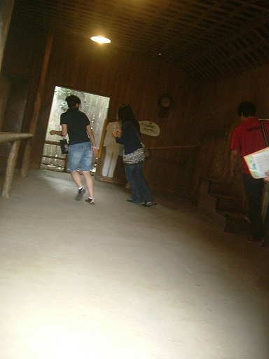 e0062207_0334810.jpg