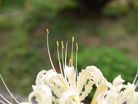 a0041508_2146418.jpg